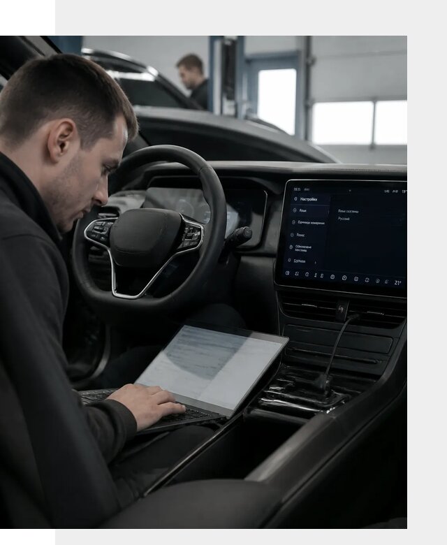 Русификация автомобилей BYD под ключ для всех моделей в Димитровграде