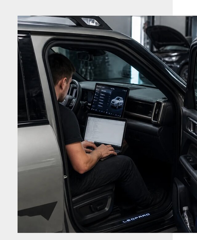 Русификация BYD Leopard 3 в Димитровграде по цене от 20503 р. | ФастМобиль-Дмт