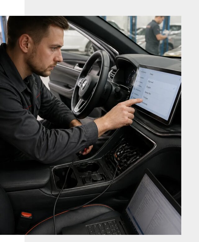 Профессиональная русификация BYD SONG Plus в Димитровграде